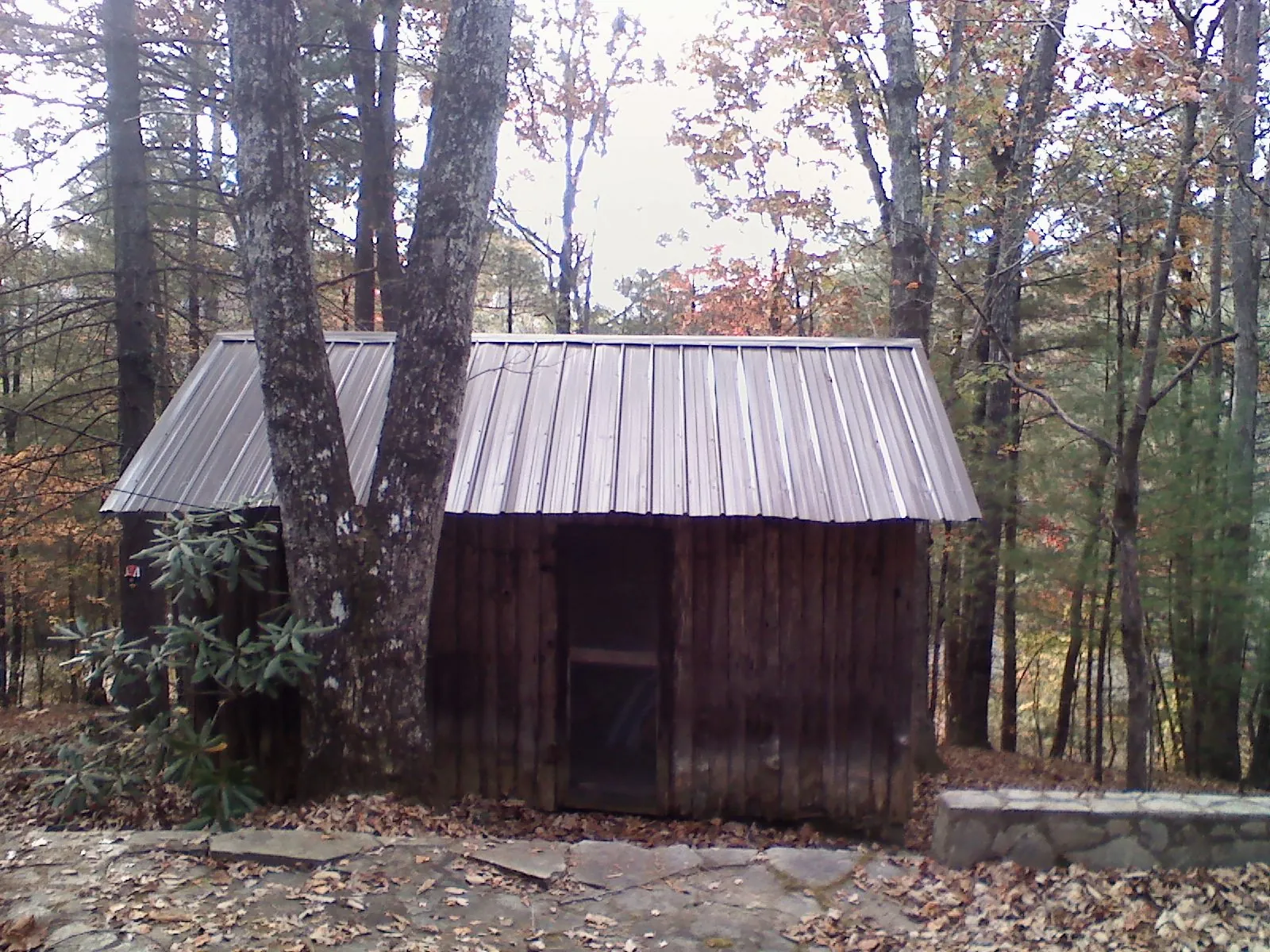 New metal gable roof on a small log shed among the trees in Lyman
